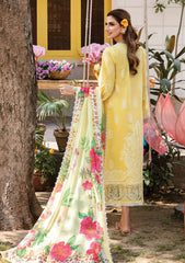 Lawn Collection - Afrozeh - Rangreza - AL#07 (Meraki)