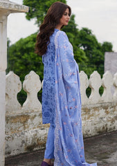 Winter Collection - Cross Stitch - Khaddar/Linen 23 - Cosmic Sky 06