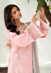 Lawn Collection - Bin ILyas - Riwaayat Spring Summer - RSP24#301 - B