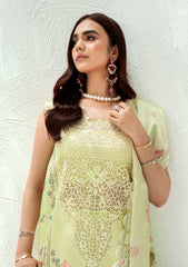 Lawn Collection - Bin ILyas - Riwaayat Spring Summer - RSP24#306 - A