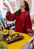 Lawn Collection - Bin ILyas - Clara - IL24#217 - B