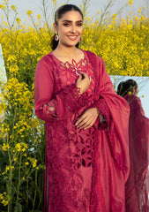 Lawn Collection - Rang Rasiya - Premium Eid - RE24#05 - MAYA