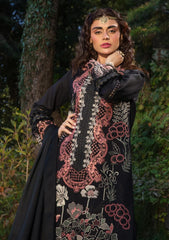 Winter Collection - Rang Rasiya - Dekh Magar Pyar Se - ZARMINA