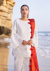 Lawn Collection - Zainab Chottani - Chikankari 24 - ZCC#3A - Chunari