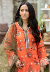 Lawn Collection - Noorma Kaamal - Chikankari 24 - NKC24#02