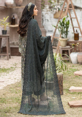 Lawn Collection - Noorma Kaamal - Chikankari 24 - NKC24#03