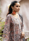 Lawn Collection - Noorma Kaamal - Chikankari 24 - NKC24#06