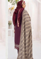 Winter Collection - Riaz Arts - DastKari23 - D#01