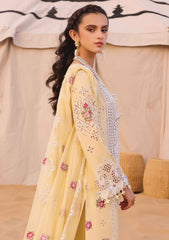 Lawn Collection - Qalamkar - Chikankari - Eid Edit - QLC24#01 - Niamh