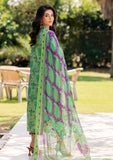 Lawn Collection - Charizma - C Prints - Vol 5 - CP4#43