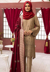 Winter Collection - Riaz Arts - DastKari - D#10