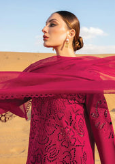 Lawn Collection - Rang Rasiya - Premium - RSP24#10 - Rameen