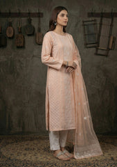 Formals - Riwaj - Fancy 26 -  Ari & Mukesh Work - 2 Pcs - D#01 - Peach 2