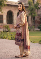 Winter - Fancy Silk Zari Jamawar - 3 Pcs Suit - D#17 - Skin