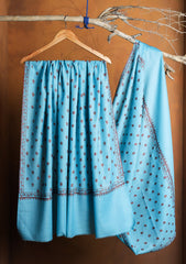 Pashmina Kashmiri Jaaldar Shawl D#116 - Ferozi