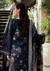 Winter - Florent - Zync 25 - FL#09-A