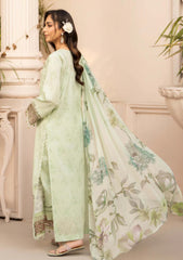 Lawn - Humdum - Summer Breeze 26 - D#11