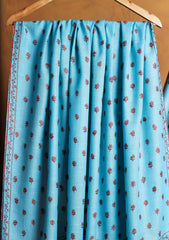 Pashmina Kashmiri Jaaldar Shawl D#116 - Ferozi