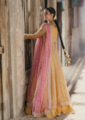 Formal Collection - Roheenaz - Pehli Si Muhabbat - Wedding - Afreen