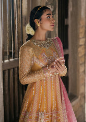 Formal Collection - Roheenaz - Pehli Si Muhabbat - Wedding - Afreen