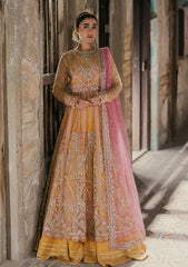 Formal Collection - Roheenaz - Pehli Si Muhabbat - Wedding - Afreen