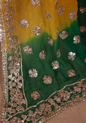 Formals - Bahawalpur Pehnawa - Chiffon - 2 Piece - D#19