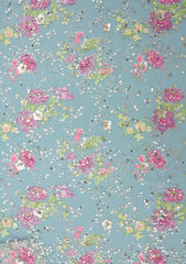 Fancy Net Embroidered Stone Work - ASPL#16