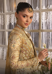 Formals - Afrozeh - Dastangoi - Wedding Formals 25 - AWE#03 - Goldveil