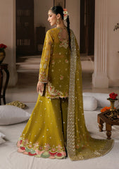 Formals - Afrozeh - Shehnai Wedding 26 - Zarminay