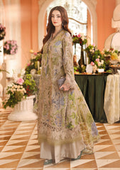 Formals - Maria B - Royale Tea Affair - Chiffons 26 - D#03