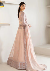 Formals - Alizeh - Chiffons - Unstitched 25 - AF-CH#2187 - Nisa