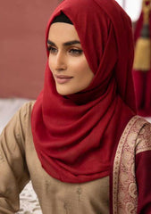 Winter Collection - Riaz Arts - DastKari - D#10