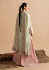 Formals - Freesia Premium - Imane - Embroidered Chiffon 25 - FSU5602 - AYLIN