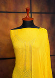 Winter Collection - Riwaj - Bamber Chikankari W/ Mukesh Work - Yellow