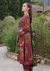 Winter - Al Zohaib - Colors Linen - Edit 25 - CL#05