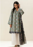 Lawn Collection - Beechtree - Printed Unstitched - MB5S23U55