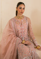 Formals - Seraph - Damask - Wedding 25 - Iced Blush