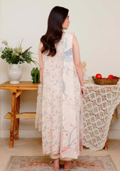 Winter - Humdum - Layla Karandi 25 - LK#08