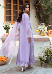 Lawn - Naqsh - Chikankari Festive 26 - D#00193 - Lavendar
