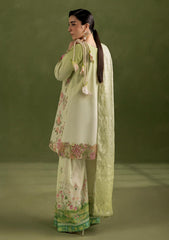 Winter - Rajbari - Silah Premium Silk Edit 26 - Allure