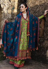 Winter Collection - Hussain Rehar - Karandi AW - D#11 - Corral