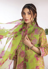 Lawn Collection - Rang Rasiya - Breeze - D#11 Kelly