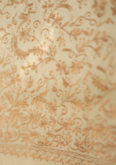 Pashmina Ari Work Jaaldar Shawl D - 04 - Skin