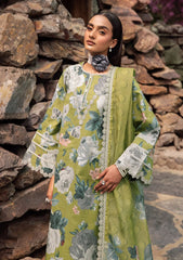 Lawn Collection - Alizeh - Sheen - Volume 2 - ALS24#18 - JAZMIN