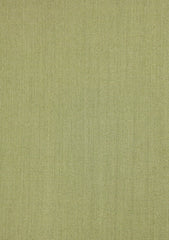 Vitale Barberis Super 110's Tropical Fabric - B Green