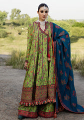 Winter Collection - Hussain Rehar - Karandi AW - D#11 - Corral