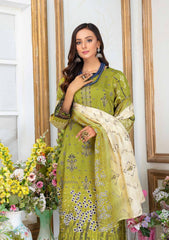 Winter Collection - Aalaya - Marjjan - AM#04