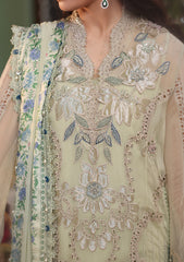 Formals - Maria B - Tea Affair - Chiffons Unstitched 26 - MT#05