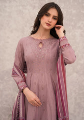 Winter Collection - Jazmin - Delia - Nazaha - D#01