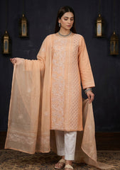 Formals - Riwaj - Fancy 26 -  Ari & Mukesh Work - 2 Pcs - D#01 - L Peach
